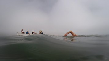 Lambay Swim - a collaborative journey 2014