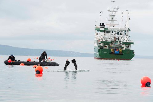 38marine Inst lay fibreoptic pipe lo res